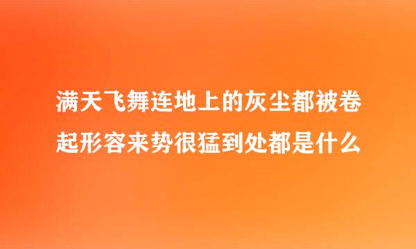 满天飞舞连地上的灰尘都被卷起形容来势很猛到处都是什么