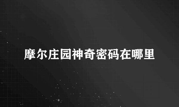 摩尔庄园神奇密码在哪里