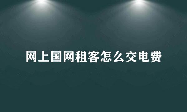 网上国网租客怎么交电费