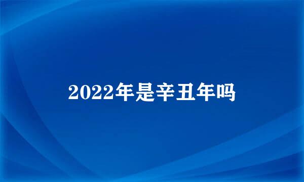 2022年是辛丑年吗
