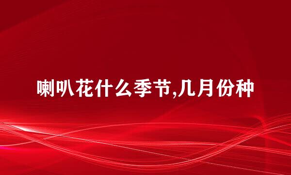 喇叭花什么季节,几月份种