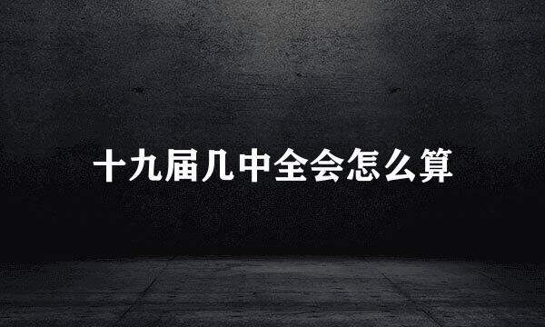 十九届几中全会怎么算