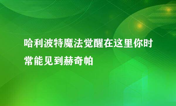 哈利波特魔法觉醒在这里你时常能见到赫奇帕