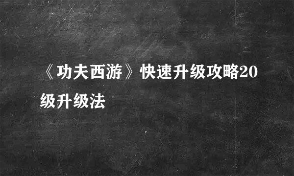 《功夫西游》快速升级攻略20级升级法