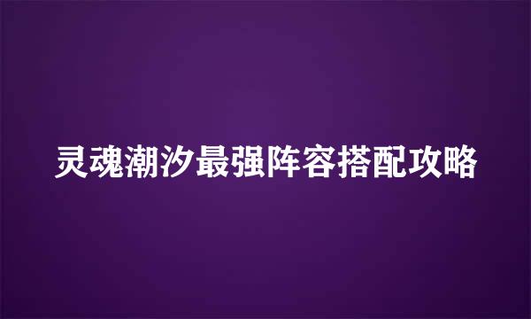 灵魂潮汐最强阵容搭配攻略