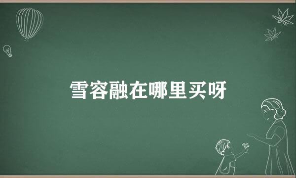 雪容融在哪里买呀