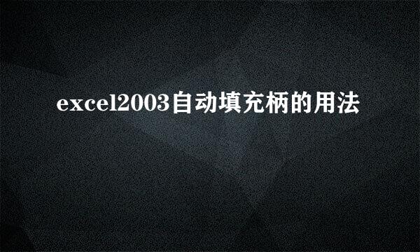 excel2003自动填充柄的用法