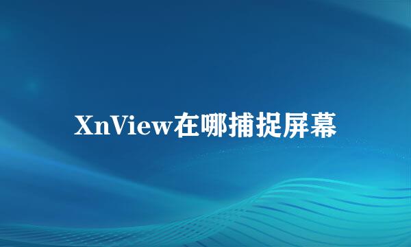XnView在哪捕捉屏幕