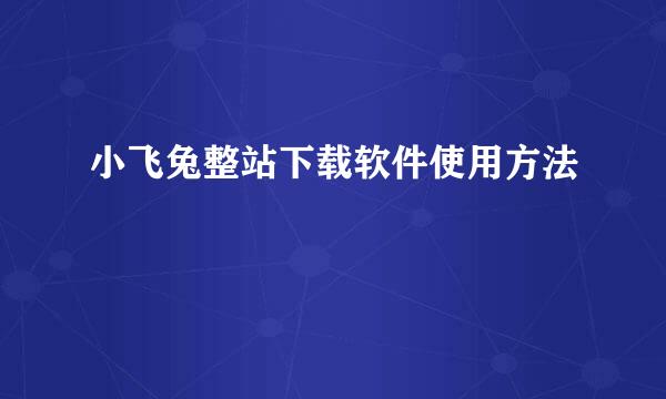 小飞兔整站下载软件使用方法