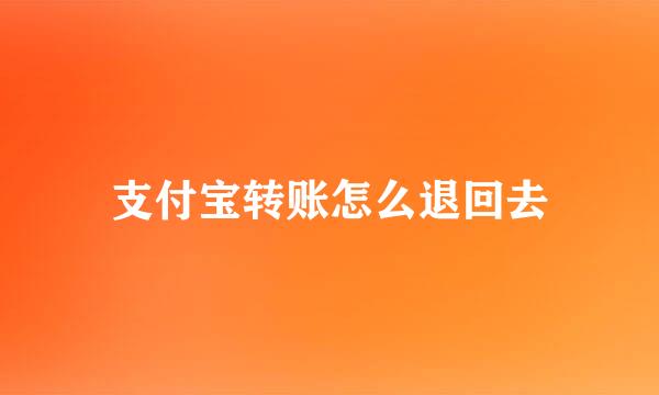 支付宝转账怎么退回去