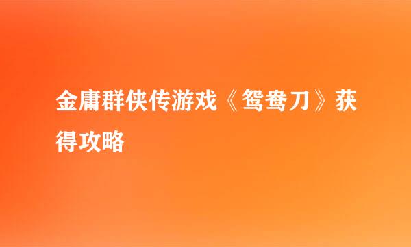 金庸群侠传游戏《鸳鸯刀》获得攻略