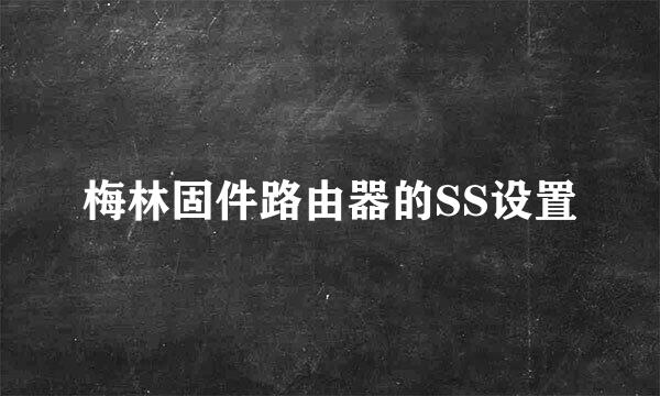梅林固件路由器的SS设置