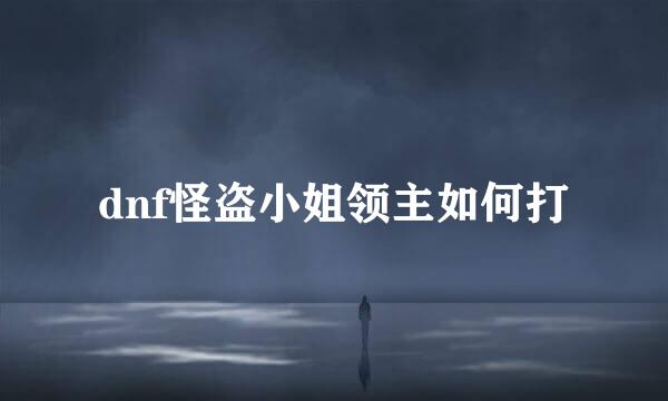 dnf怪盗小姐领主如何打