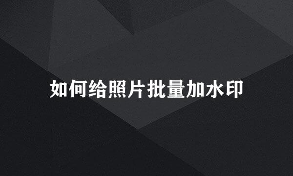 如何给照片批量加水印