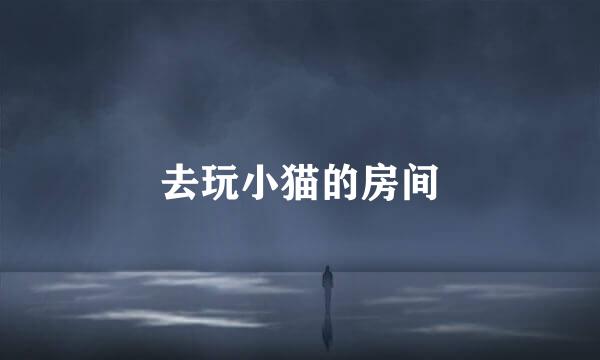 去玩小猫的房间