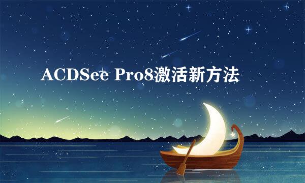 ACDSee Pro8激活新方法