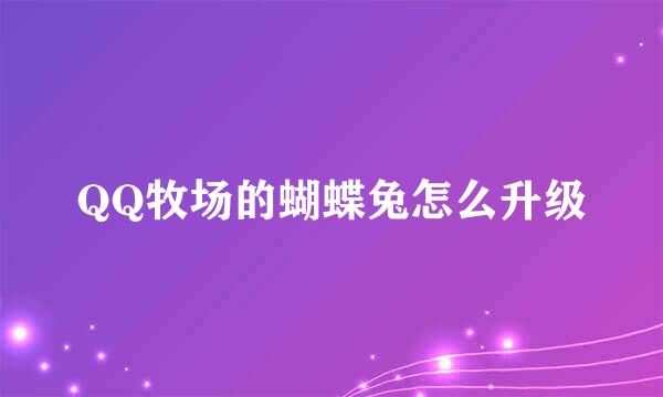 QQ牧场的蝴蝶兔怎么升级