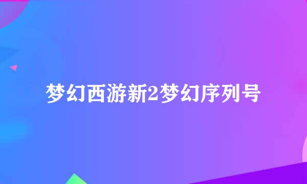 梦幻西游新2梦幻序列号