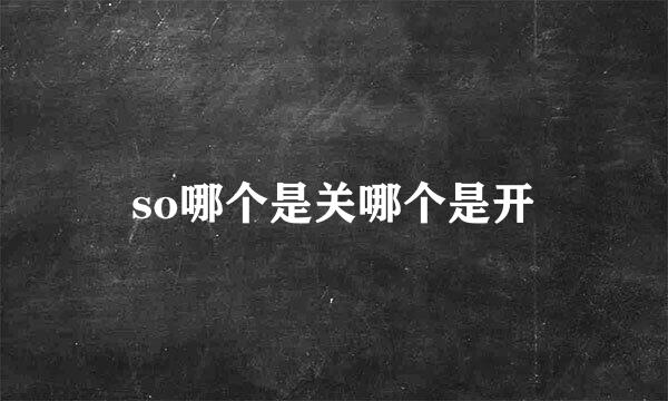 so哪个是关哪个是开