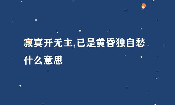寂寞开无主,已是黄昏独自愁什么意思
