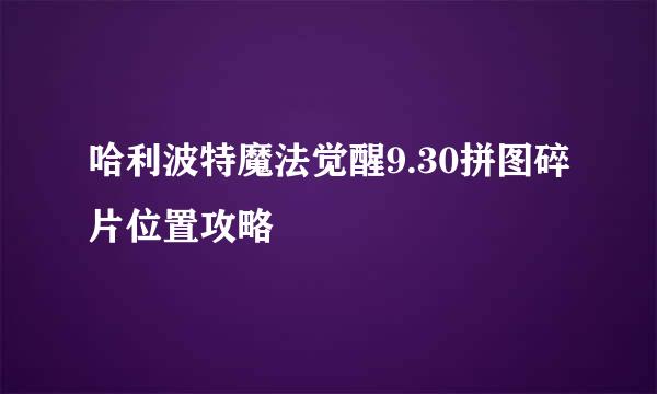 哈利波特魔法觉醒9.30拼图碎片位置攻略