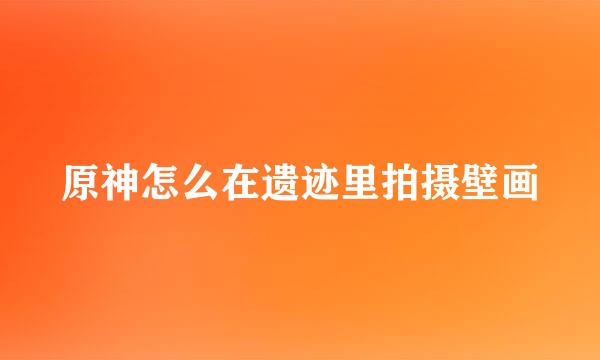 原神怎么在遗迹里拍摄壁画