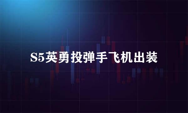 S5英勇投弹手飞机出装