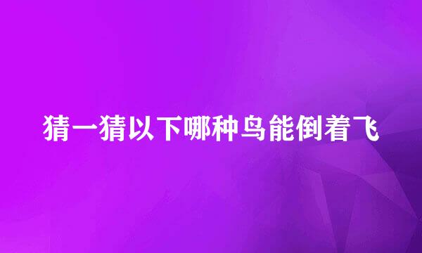 猜一猜以下哪种鸟能倒着飞
