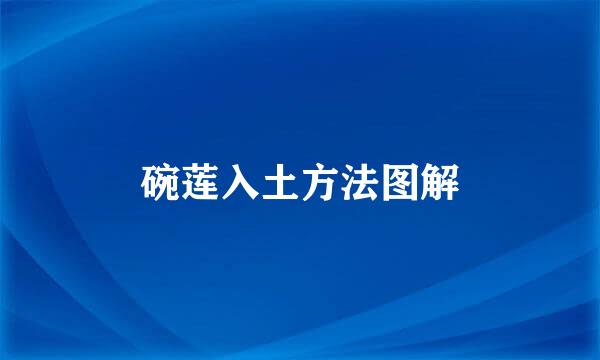 碗莲入土方法图解