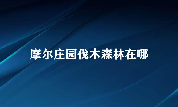 摩尔庄园伐木森林在哪