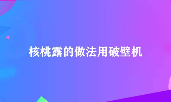 核桃露的做法用破壁机