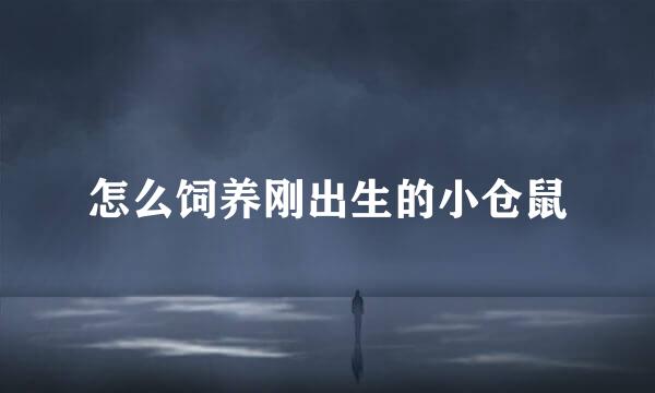 怎么饲养刚出生的小仓鼠