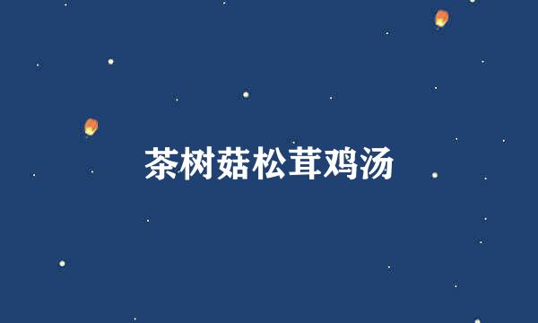 茶树菇松茸鸡汤