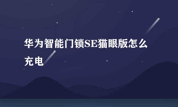 华为智能门锁SE猫眼版怎么充电