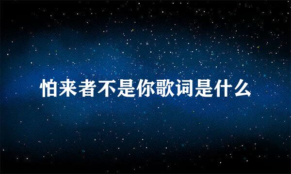 怕来者不是你歌词是什么