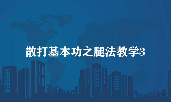 散打基本功之腿法教学3