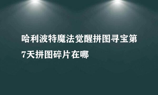 哈利波特魔法觉醒拼图寻宝第7天拼图碎片在哪