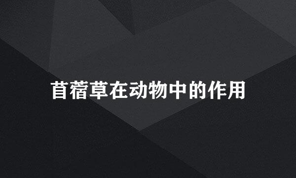苜蓿草在动物中的作用