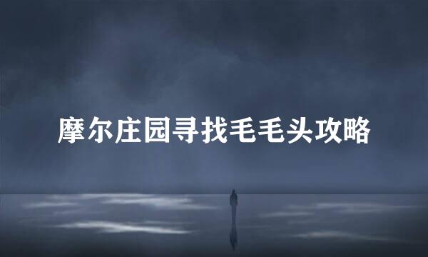 摩尔庄园寻找毛毛头攻略
