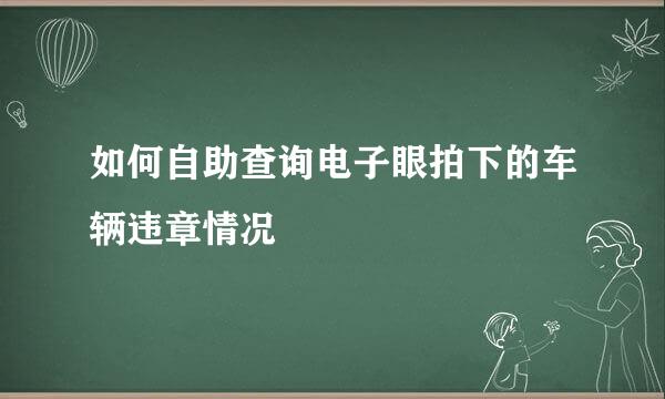 如何自助查询电子眼拍下的车辆违章情况