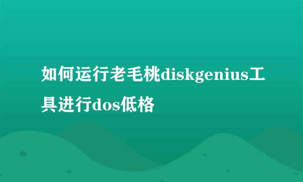 如何运行老毛桃diskgenius工具进行dos低格