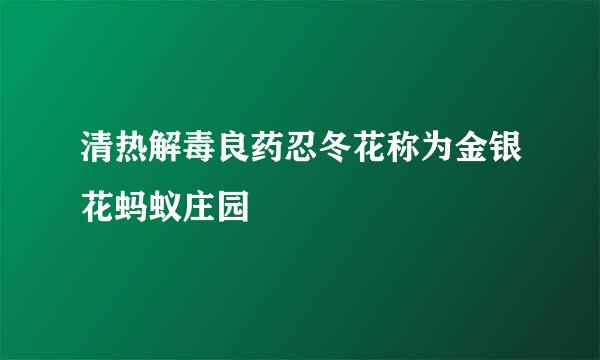 清热解毒良药忍冬花称为金银花蚂蚁庄园