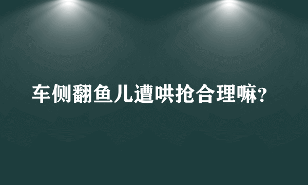 车侧翻鱼儿遭哄抢合理嘛？