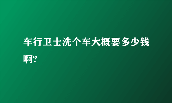 车行卫士洗个车大概要多少钱啊?