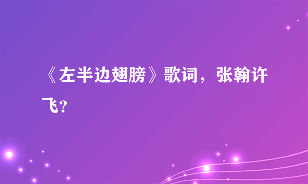 《左半边翅膀》歌词，张翰许飞？
