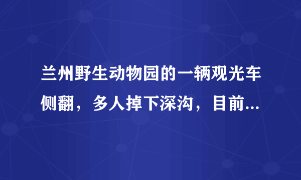 兰州野生动物园的一辆观光车侧翻，多人掉下深沟，目前救援情况如何？