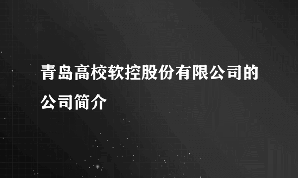 青岛高校软控股份有限公司的公司简介