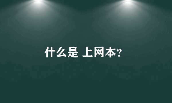 什么是 上网本？