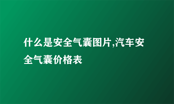 什么是安全气囊图片,汽车安全气囊价格表