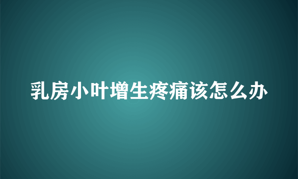 乳房小叶增生疼痛该怎么办